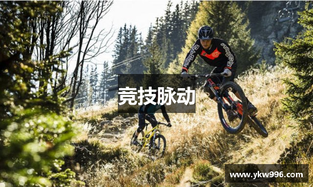 竞技脉动